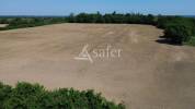 Ferme de caractère sur 136 ha