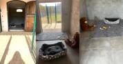 Paarden accommodatie Koop Var