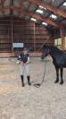 Jazzy, jument Mérens – 6 ans – élégante, douce et sûre