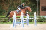 Jument de 9ans prête sur 120 CSO 