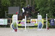 Hongre 7 ans 167cm CSO