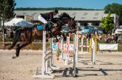 Hongre 7 ans 167cm CSO