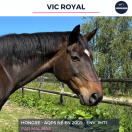 VIC ROYAL - AQPS - 16 ANS