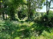 Ancienne Ferme sur 10 ha