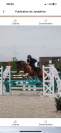 Poney plyvalent à vendre 