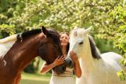 Poney plyvalent à vendre 