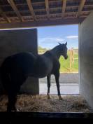 Ecurie d’Hauterives 