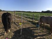 Ecurie d’Hauterives 