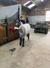 Demi-pension ponette Clochette 