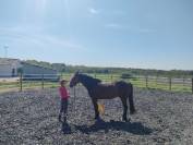 Demi pension sur cheval multifonctions