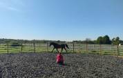 Demi pension sur cheval multifonctions