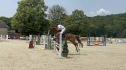 A vendre Jument Alzanne de 7 ans pour CSO