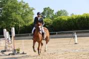 A vendre Jument Alzanne de 7 ans pour CSO