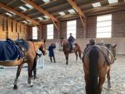 Pension chevaux 