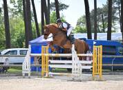 Cheval de sport performant Pro2 – Dulys 