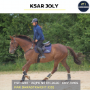 Caballo castrado AQPS En venta 2020 Bayo por BARASTRAIGHT (GB)