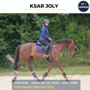 Caballo castrado AQPS En venta 2020 Bayo por BARASTRAIGHT (GB)
