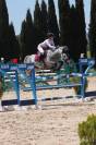 Poney de 8 ans avec toise FEI