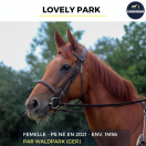 LOVELY PARK - PS - 4 ANS 