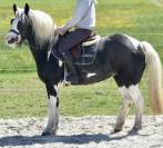 DOUBLE PONETTE PORTEUSE 