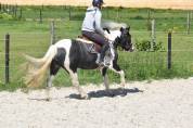 DOUBLE PONETTE PORTEUSE 