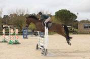 Cheval 