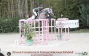 Cavallo italiano di 6 anni