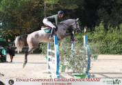 Cavallo italiano di 6 anni