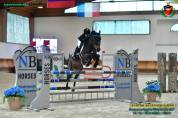 Vendesi pony