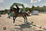 Vendesi pony