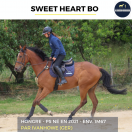 SWEET HEART BO - PS - 4 ANS