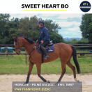 SWEET HEART BO - PS - 4 ANS
