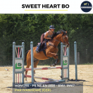 Ruin Volbloed Te koop 2021 Donker bruin / bai ,  IVANHOWE (GER)
