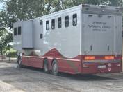 SCANIA R480 5 CAVALLI
