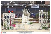 A vendre poney pour AS2/AS1