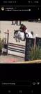 A vendre poney pour AS2/AS1
