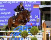 Potro Cheval de Selle Italien En venta 2025 Bayo moreno por CASALITO