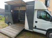 Kleine paardenvrachtwagen (B rijbewijs) Renault Master 2007 Tweedehands