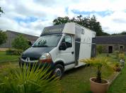 Kleine paardenvrachtwagen (B rijbewijs) Renault Master 2007 Tweedehands