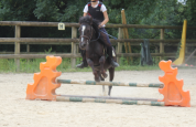 Poney de club - 11 ans - très gentil