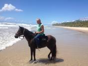 FERME EQUESTRE 15HA A ITACARE BA-BRESIL A 3KM DE LA MER