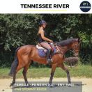 Caballo castrado Pura Sangre En venta 2021 Bayo por stormy river