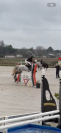 Adorable ponette D pfs 