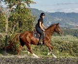 Jument SF CSO Top amateur