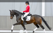FURSTINA - Westphalienne 2019