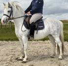 Chic ponette C