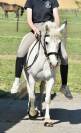 Chic ponette C
