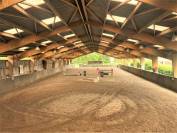 Stud farm  Seine-et-Marne