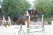 CABALLO SALTO  -- Shabrang ATT --