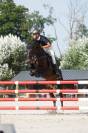 CABALLO SALTO  -- Shabrang ATT --